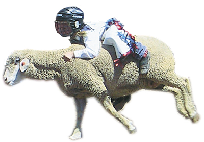 mutton rider